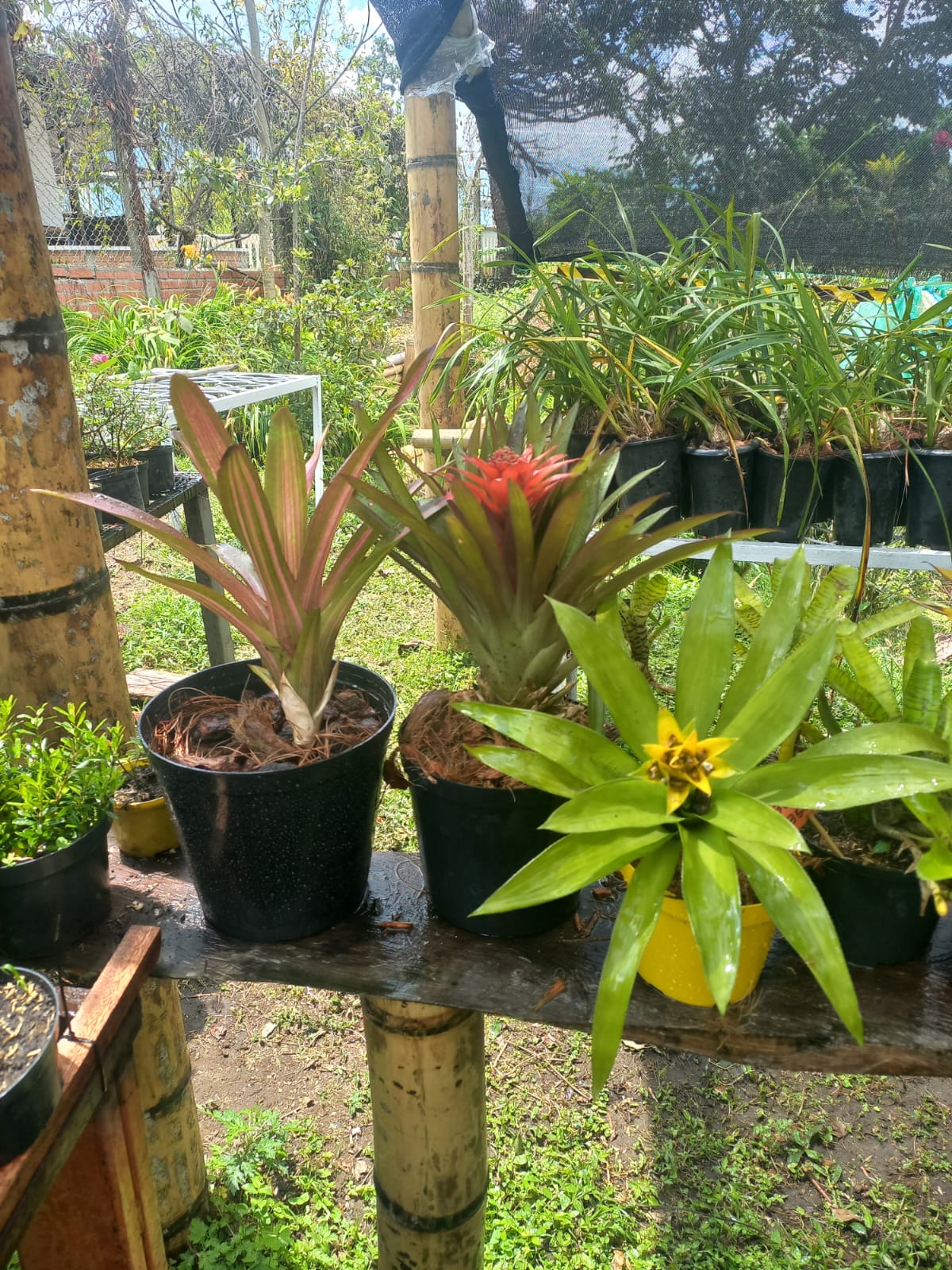 Flor decorativa artesanal 4