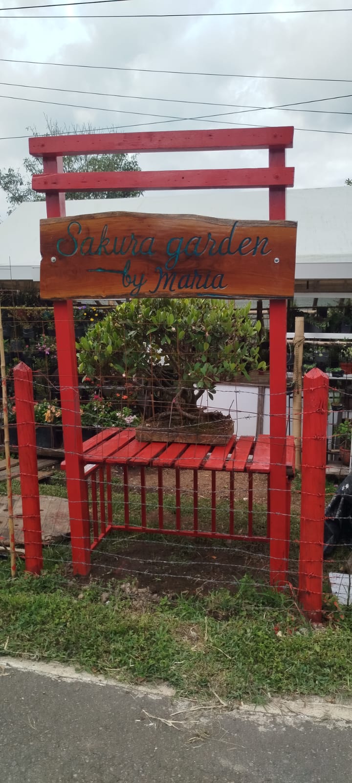 Colección principal de jardinería